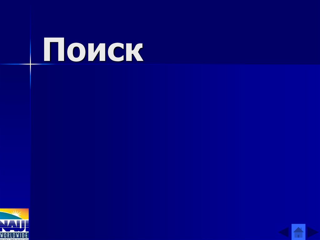 Поиск