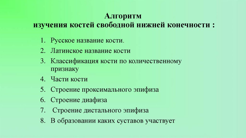 Алгоритм изучения костей свободной нижней конечности :