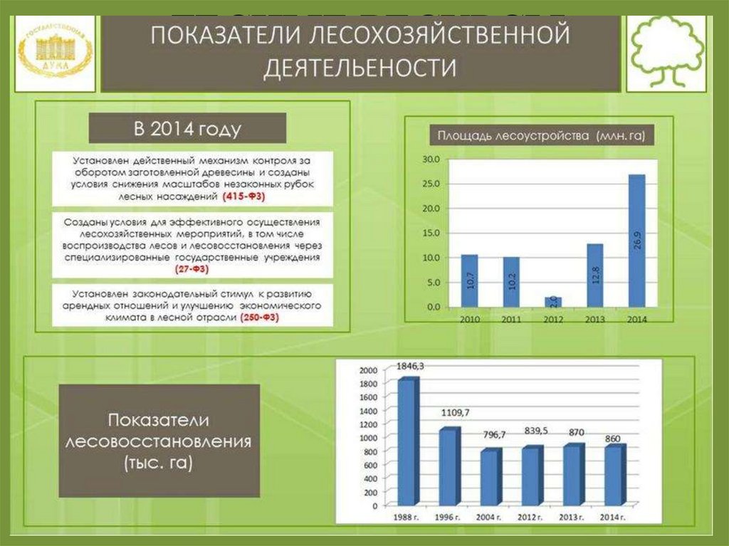 ЛЕСНЫЕ РЕСУРСЫ