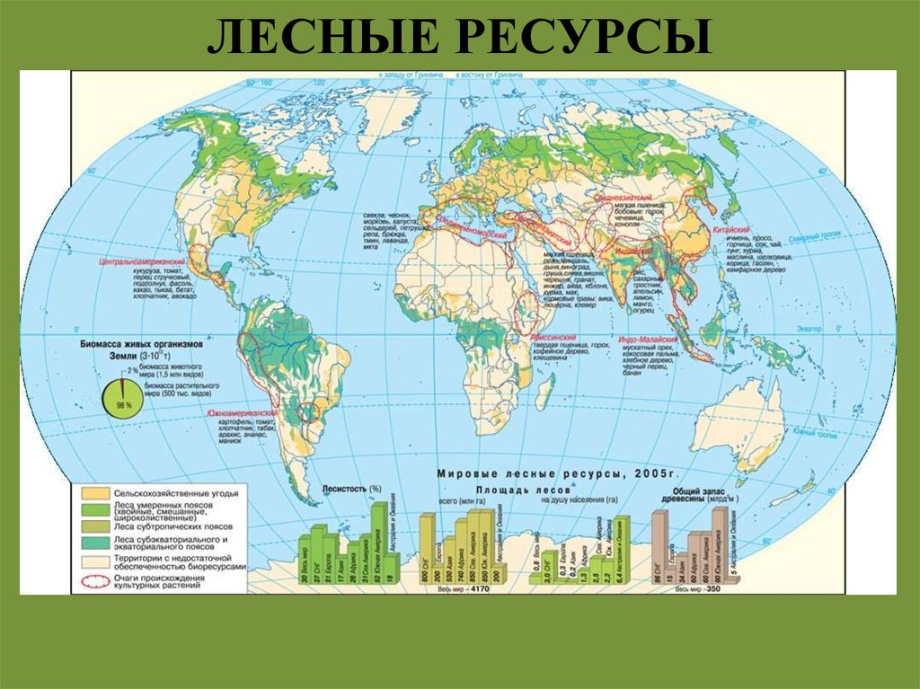 ЛЕСНЫЕ РЕСУРСЫ