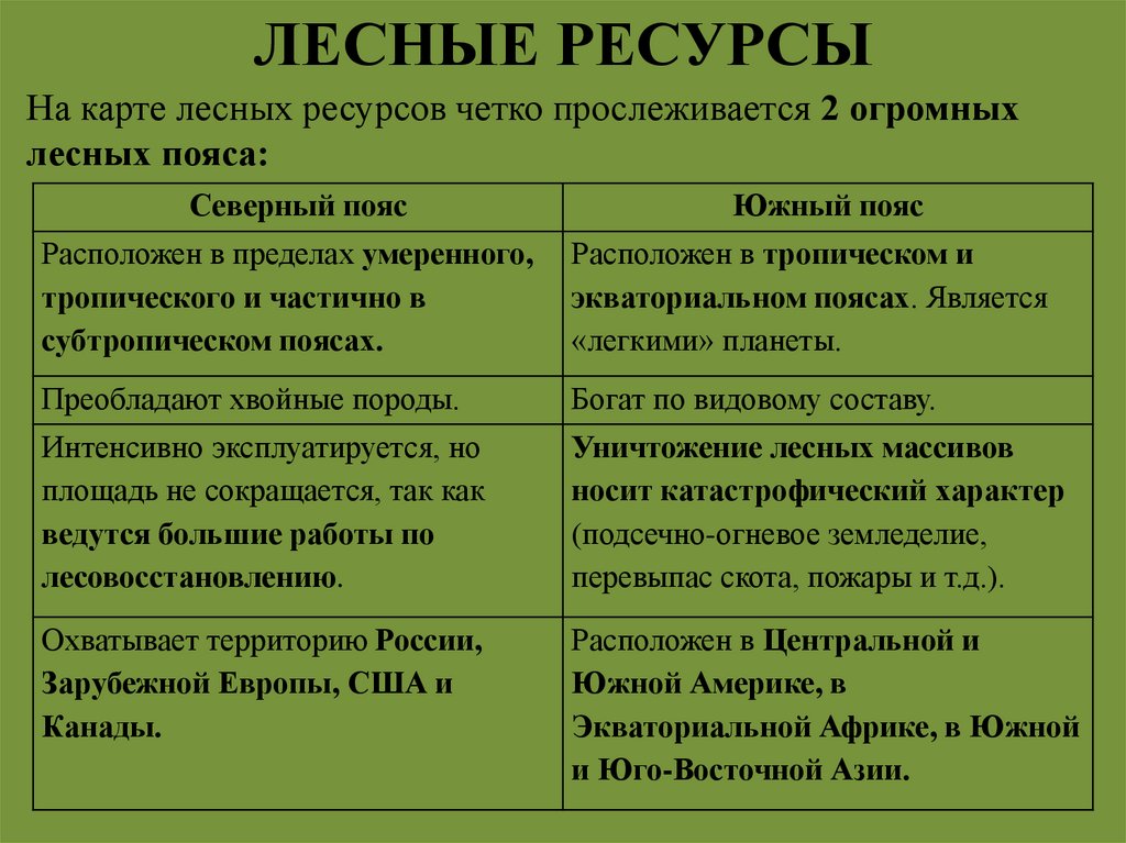 ЛЕСНЫЕ РЕСУРСЫ