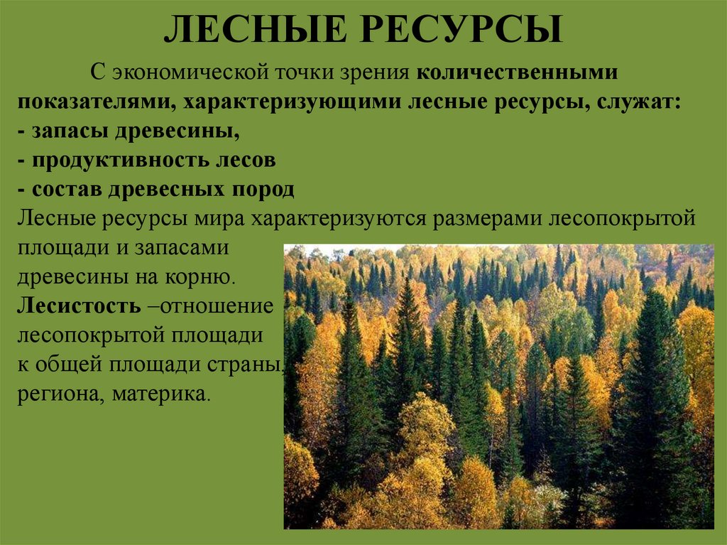 ЛЕСНЫЕ РЕСУРСЫ