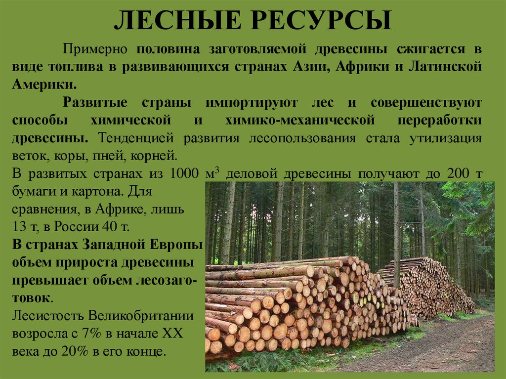 ЛЕСНЫЕ РЕСУРСЫ