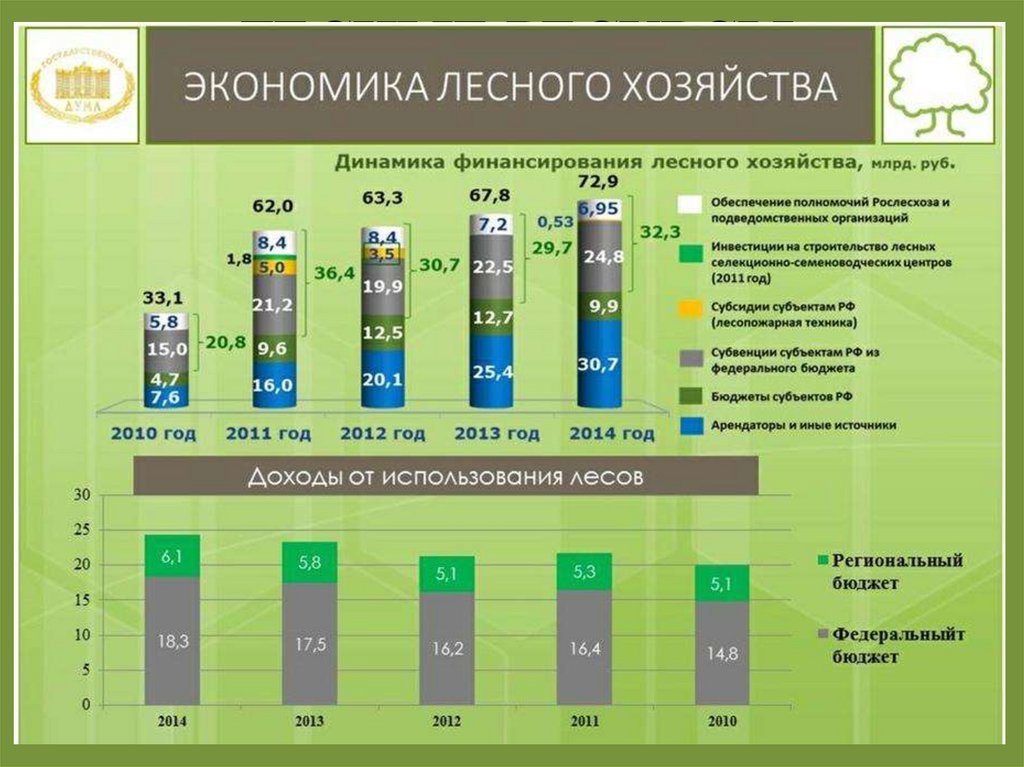 ЛЕСНЫЕ РЕСУРСЫ