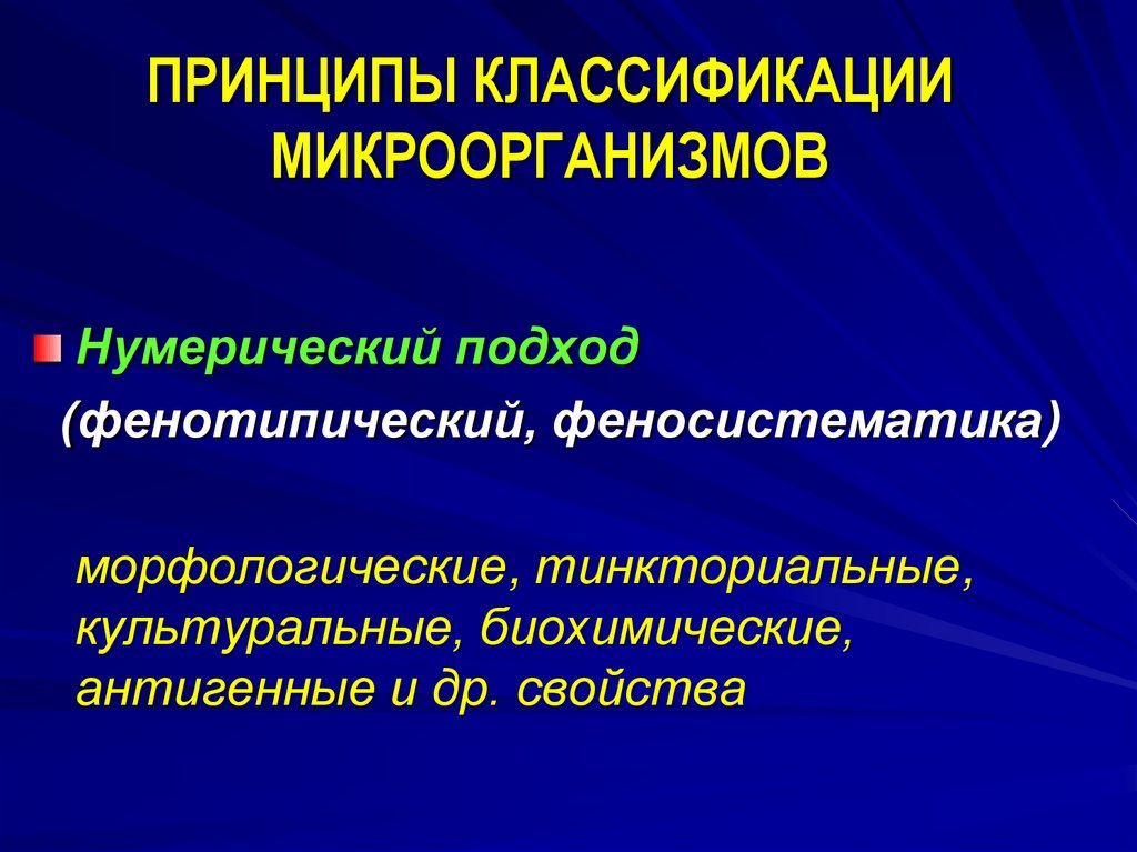 ПРИНЦИПЫ КЛАССИФИКАЦИИ МИКРООРГАНИЗМОВ