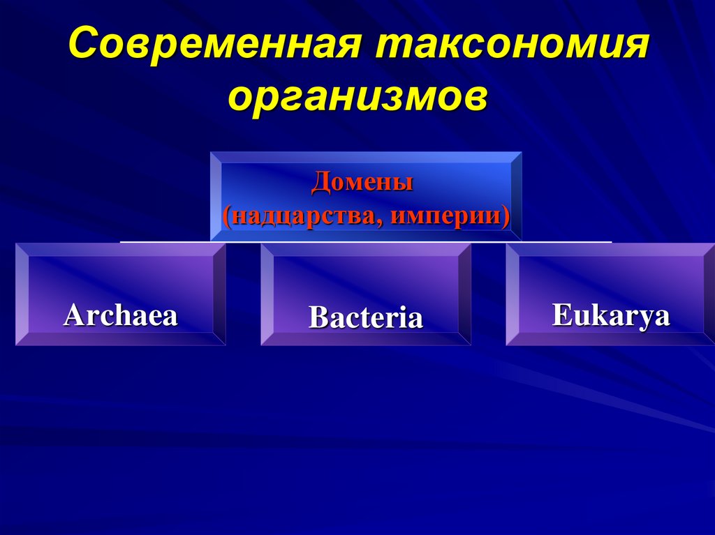 Современная таксономия организмов