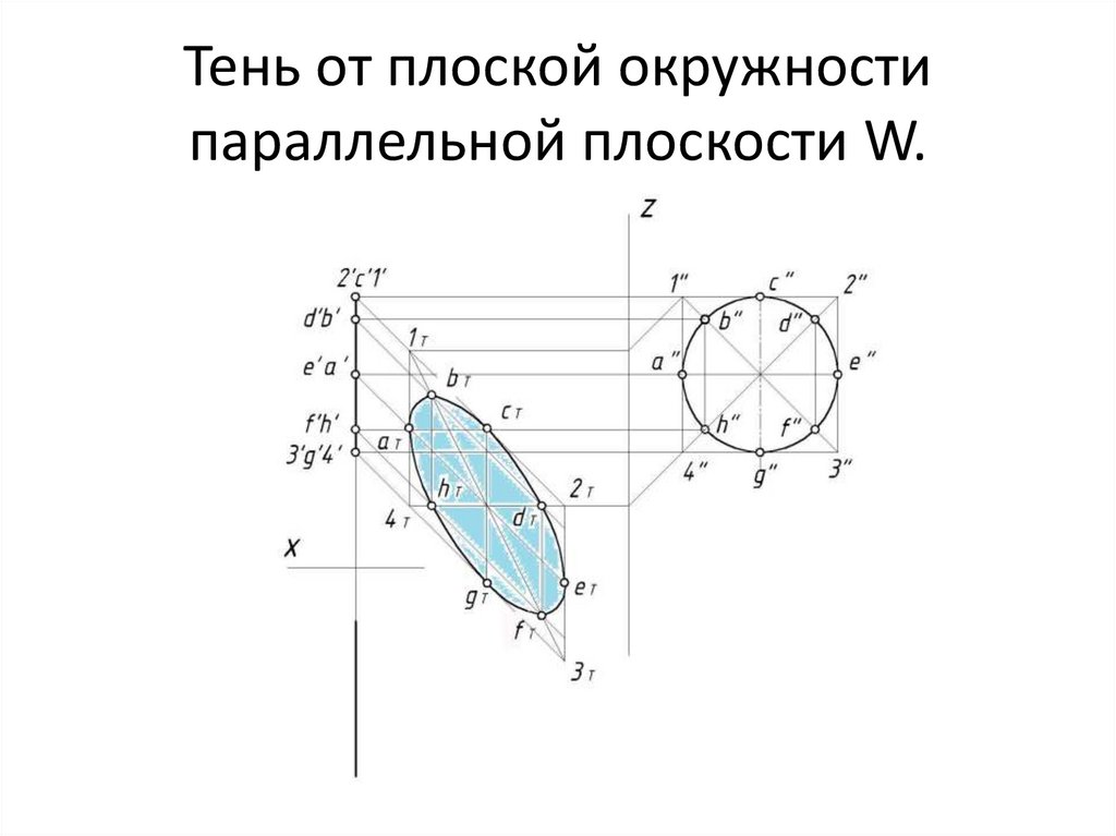Тень от плоской окружности параллельной плоскости W.