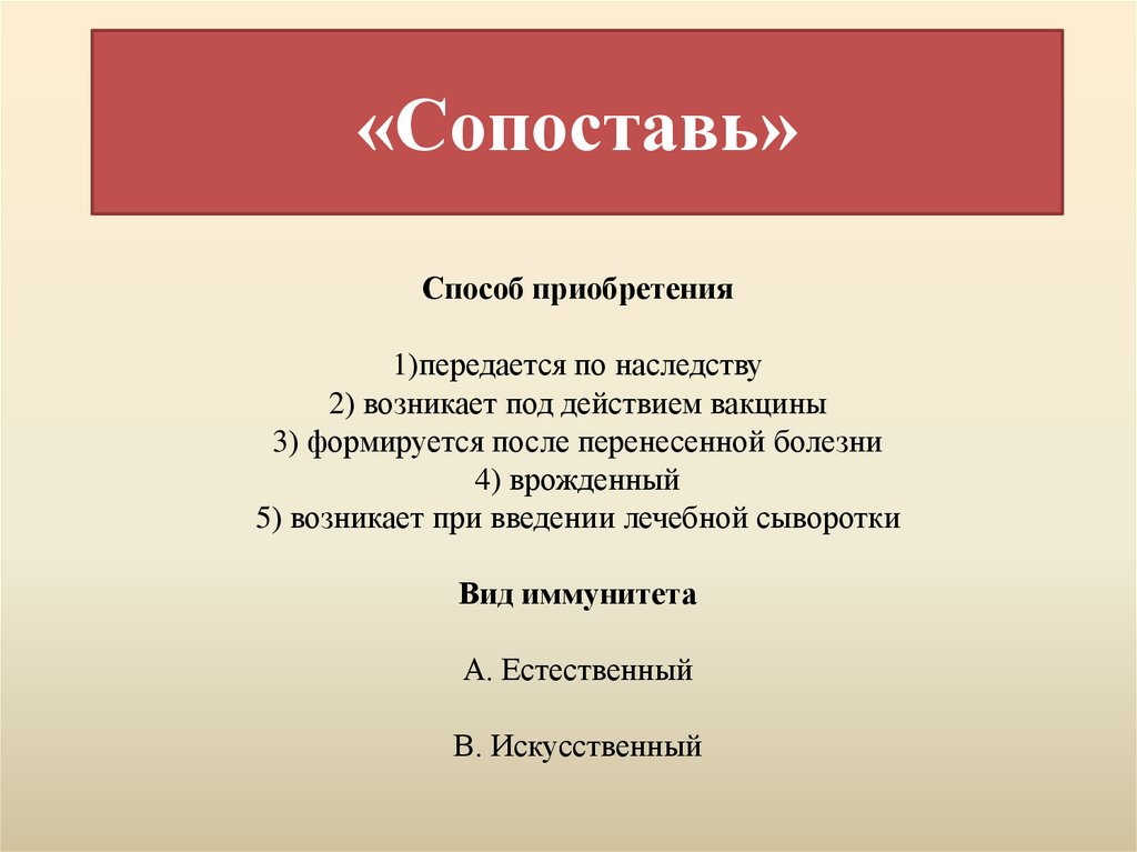 «Сопоставь»