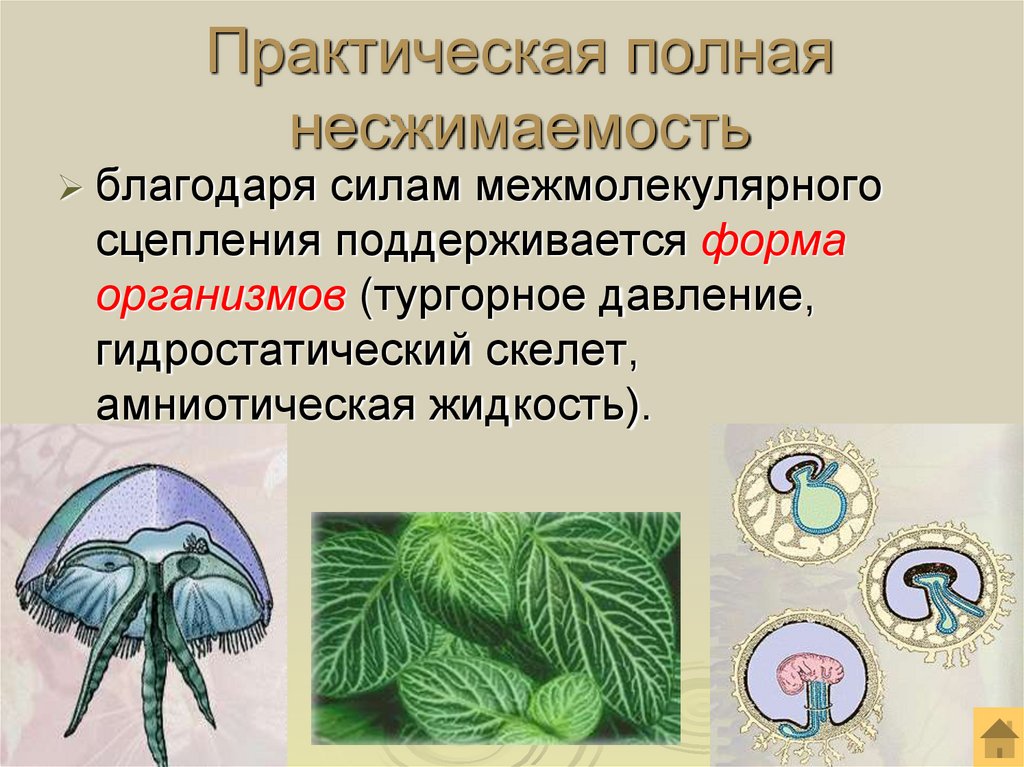 Практическая полная несжимаемость