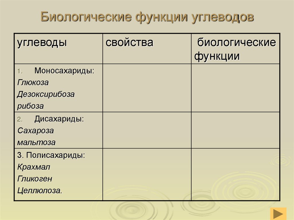 Биологические функции углеводов