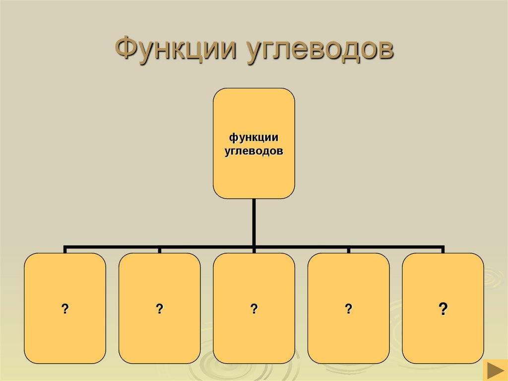 Функции углеводов