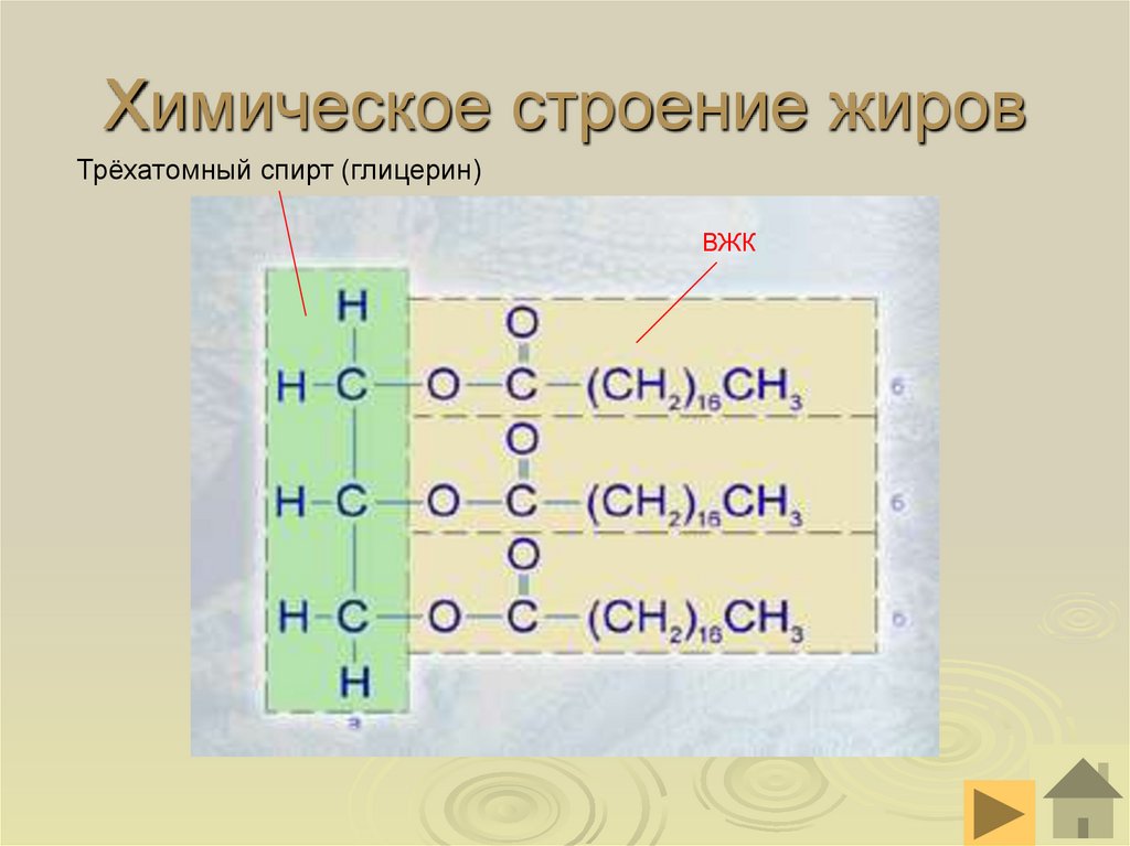 Химическое строение жиров