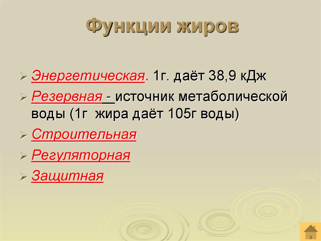 Функции жиров