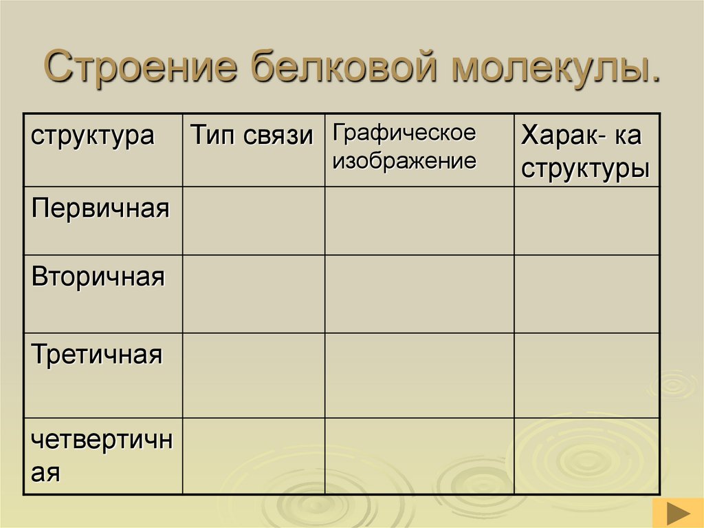 Строение белковой молекулы.