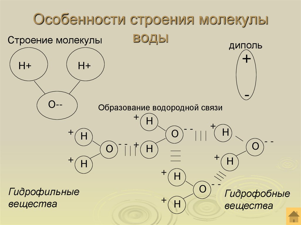 Особенности строения молекулы воды