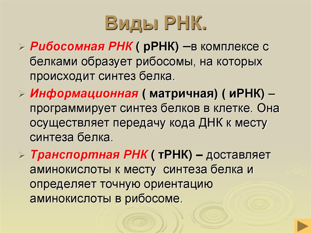 Виды РНК.
