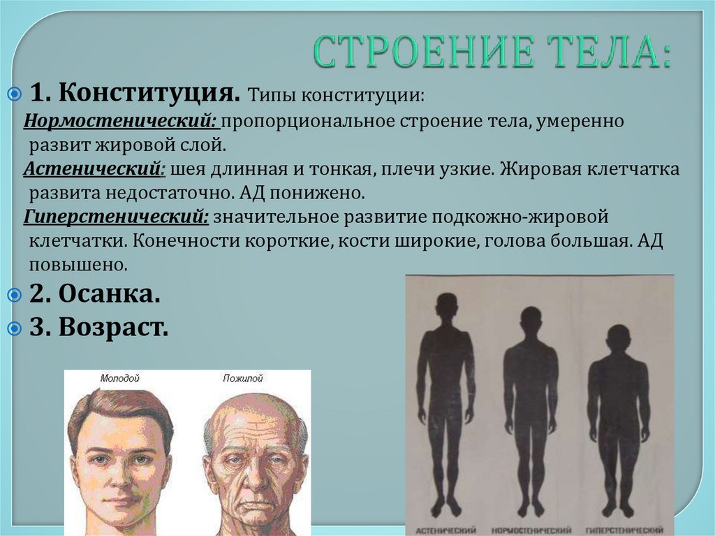 СТРОЕНИЕ ТЕЛА: