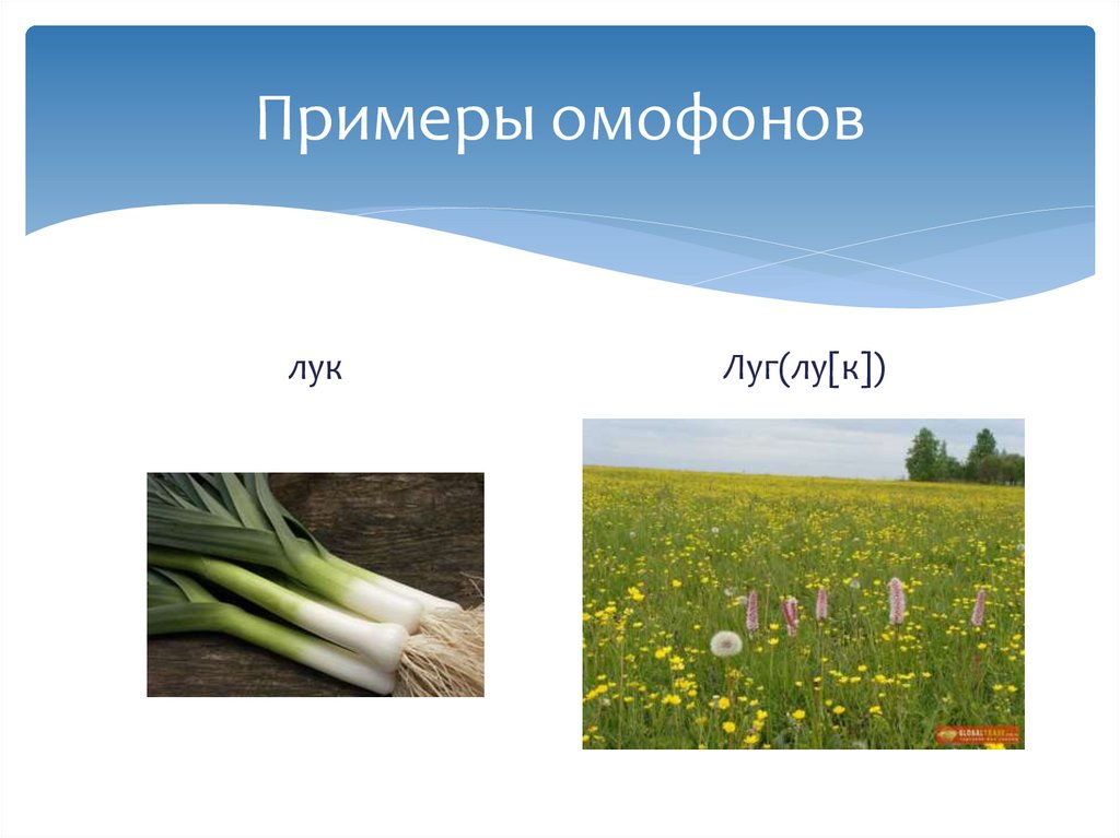 Примеры омофонов