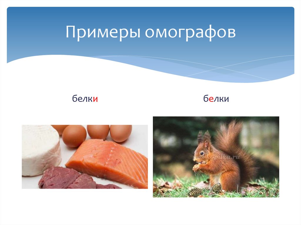 Примеры омографов