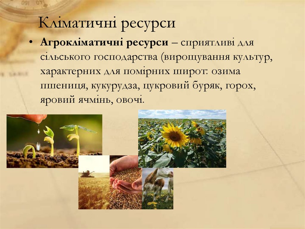 Кліматичні ресурси