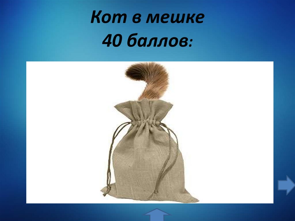 Кот в мешке 40 баллов: