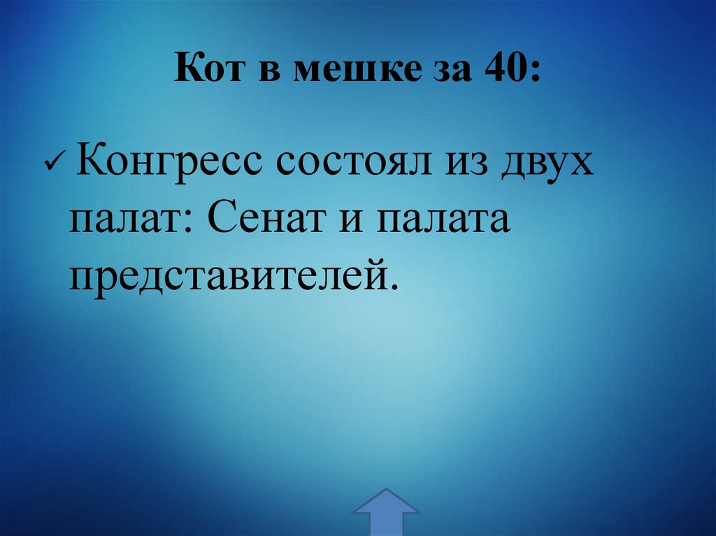 Кот в мешке за 40: