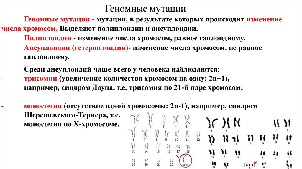Геномные мутации