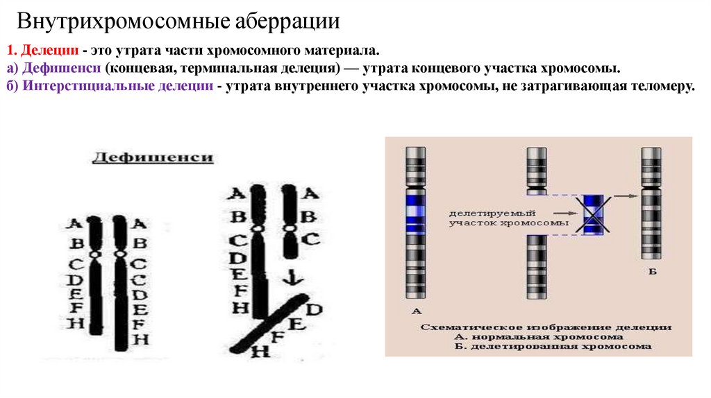 Внутрихромосомные аберрации