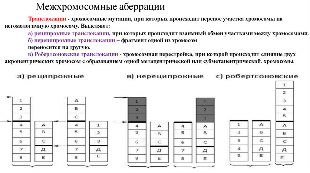 Межхромосомные аберрации