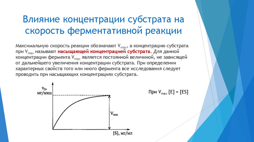 Влияние концентрации субстрата на скорость ферментативной реакции