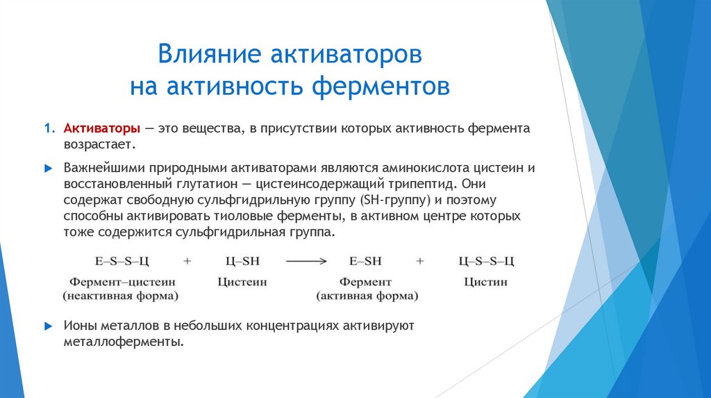 Влияние активаторов на активность ферментов
