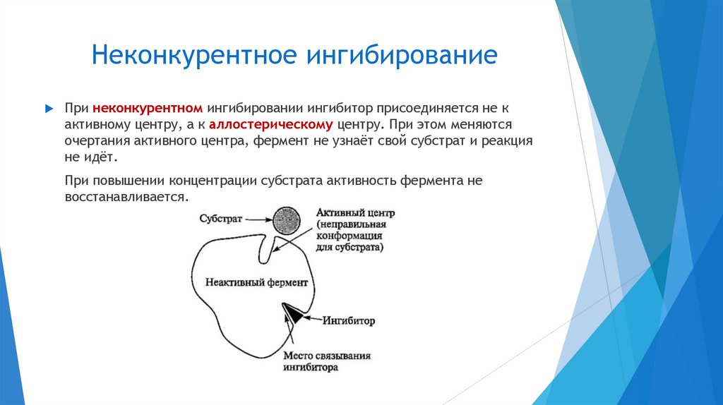 Неконкурентное ингибирование
