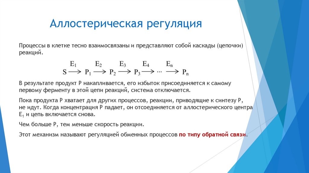 Аллостерическая регуляция