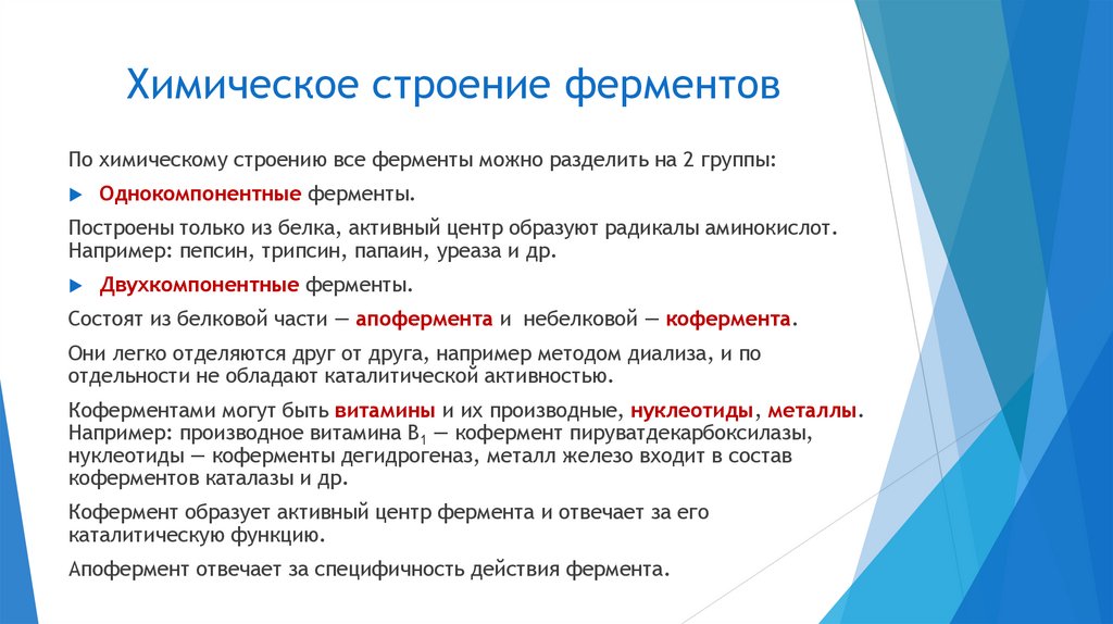 Химическое строение ферментов