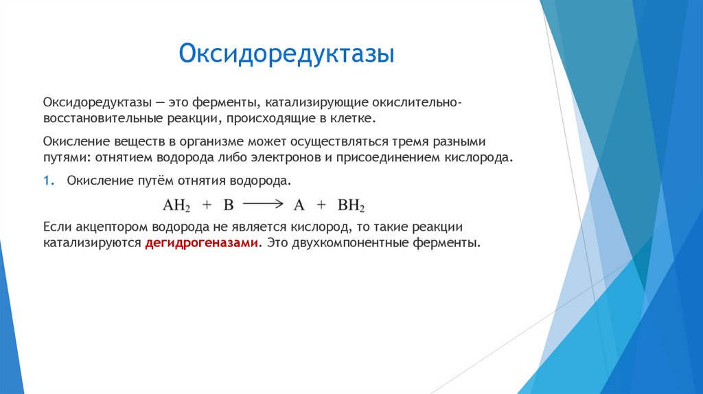 Оксидоредуктазы