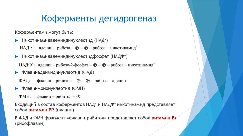 Коферменты дегидрогеназ