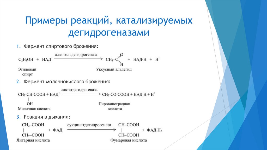 Примеры реакций, катализируемых дегидрогеназами
