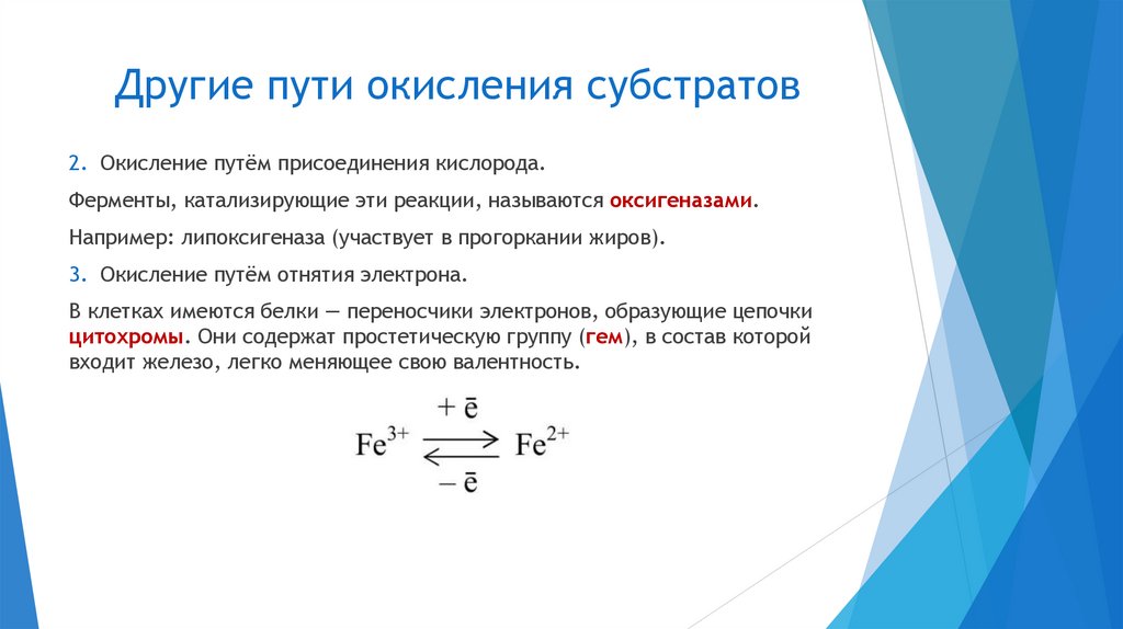 Другие пути окисления субстратов