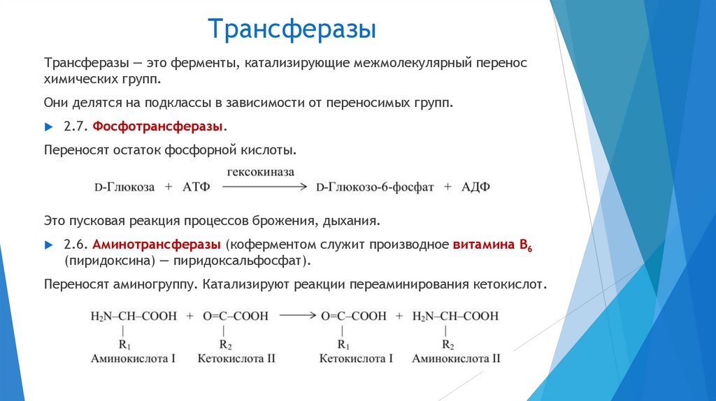 Трансферазы