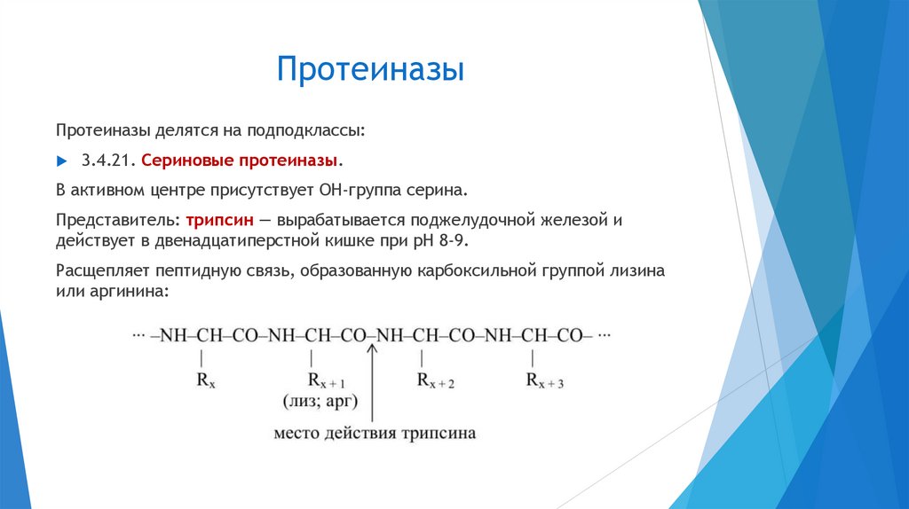 Протеиназы