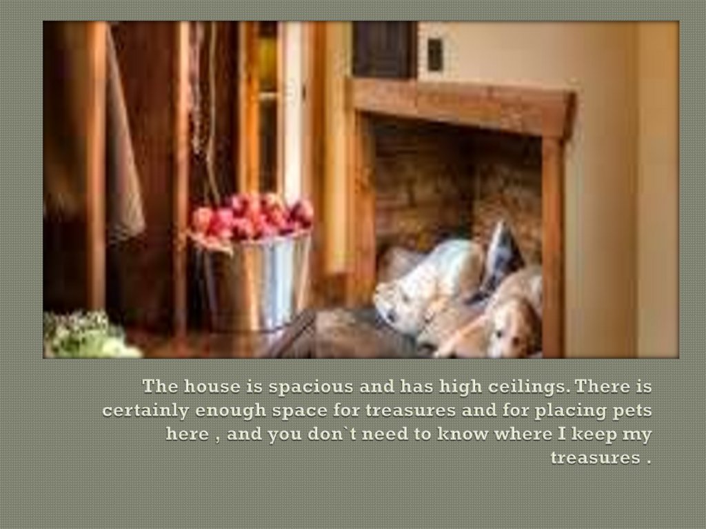The house is spacious and has high ceilings. There is certainly enough space for treasures and for placing pets here , and you