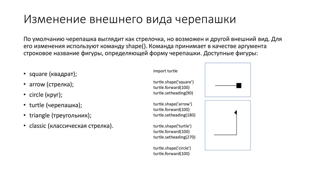 Изменение внешнего вида черепашки