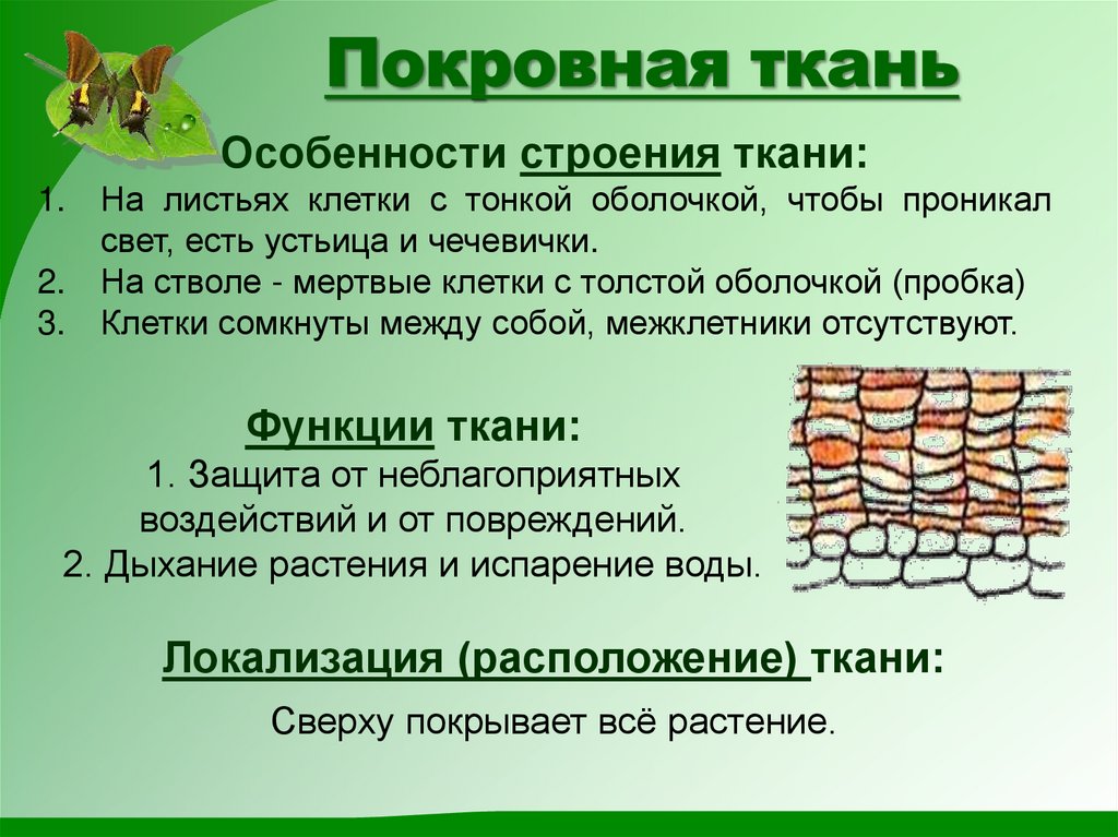 Покровная ткань