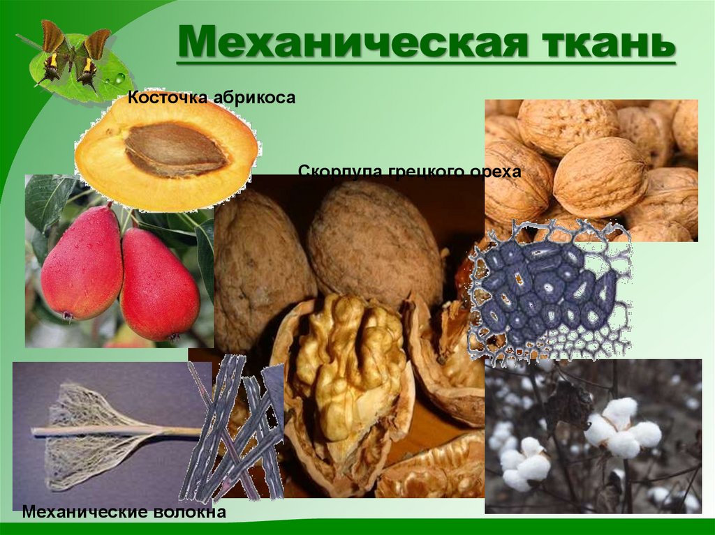 Механическая ткань