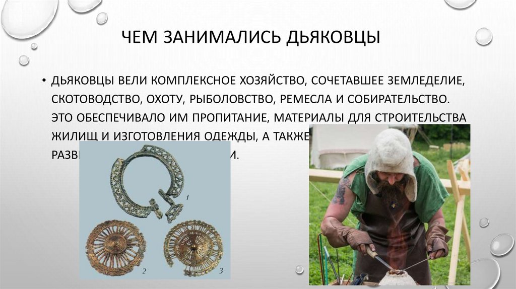 Чем занимались дьяковцы