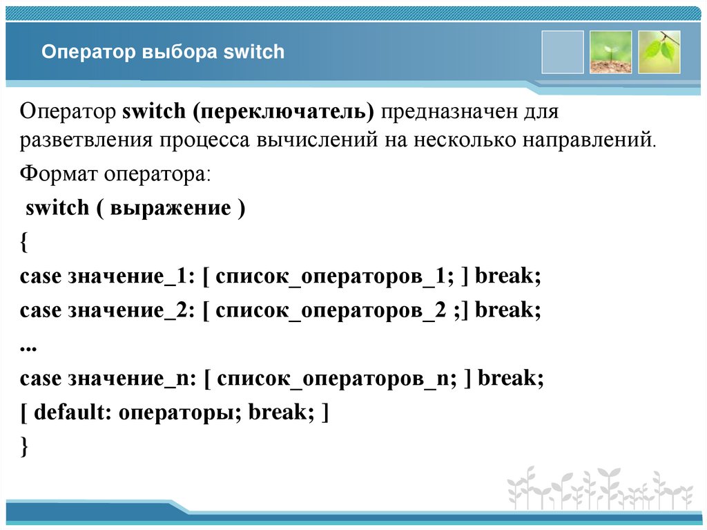 Оператор выбора switch