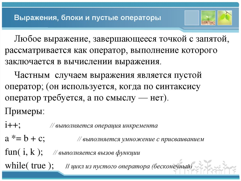 Выражения, блоки и пустые операторы