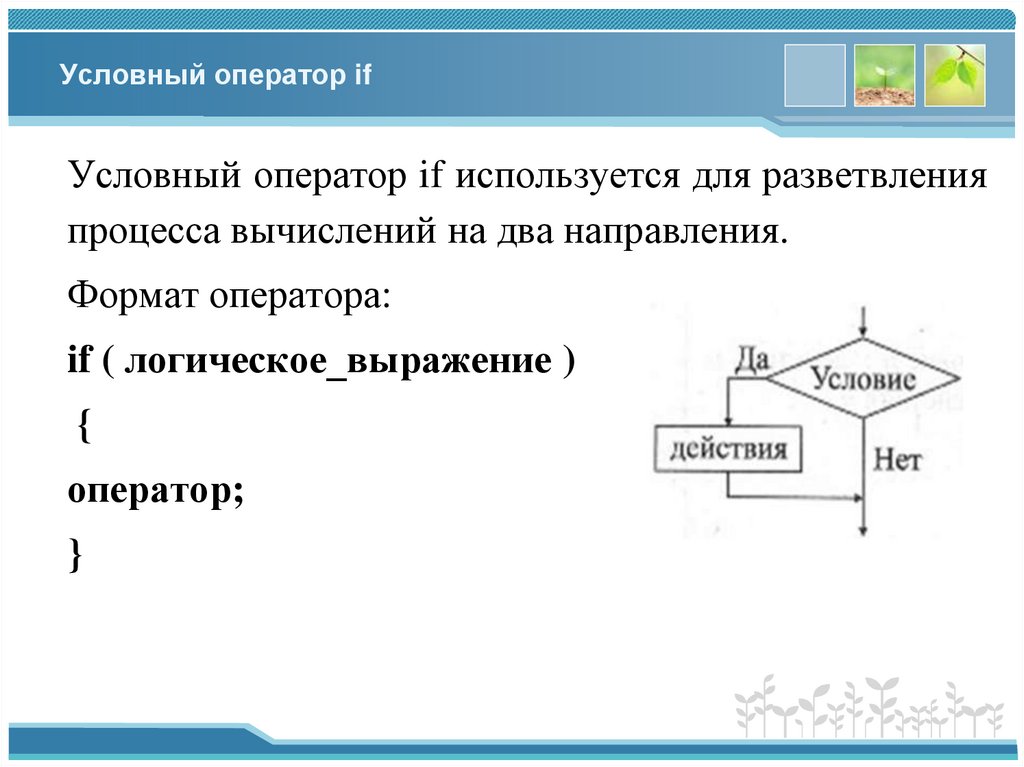Условный оператор if
