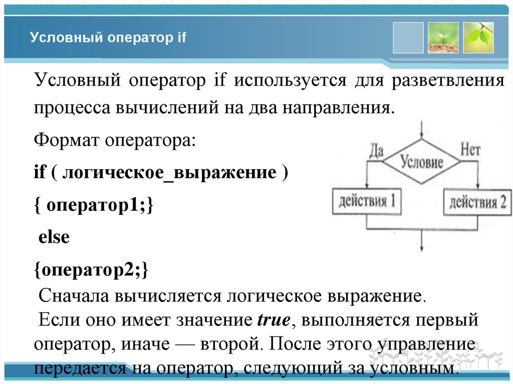 Условный оператор if