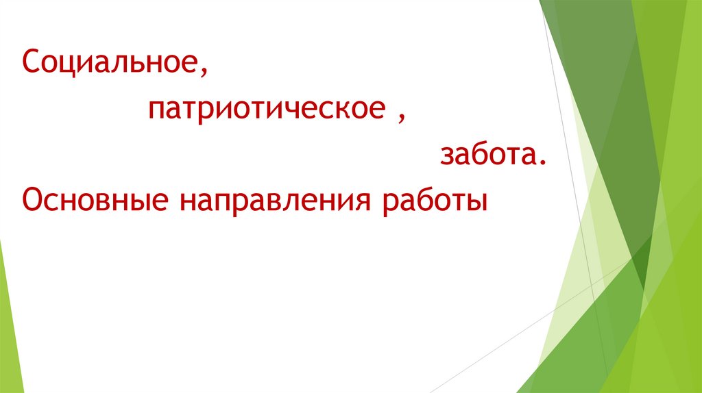 Основные направления в работе отряда